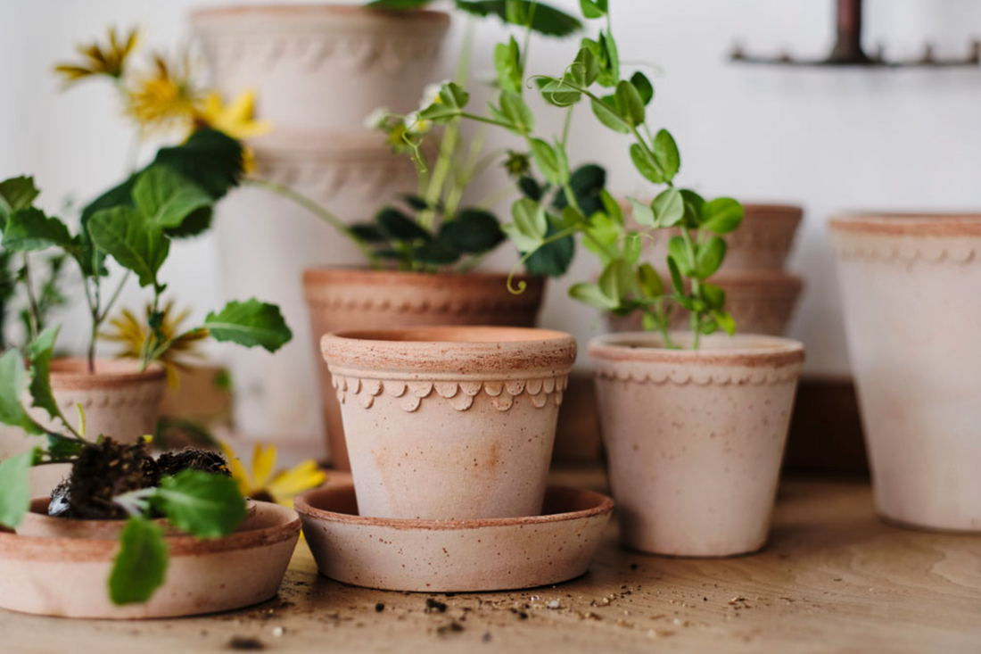 Bergs Potter terracotta in de winterperiode