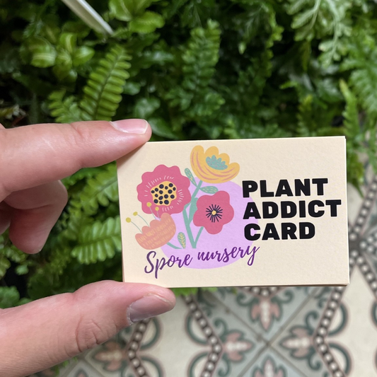 Spaar plantenkorting bij Spore Nursery!