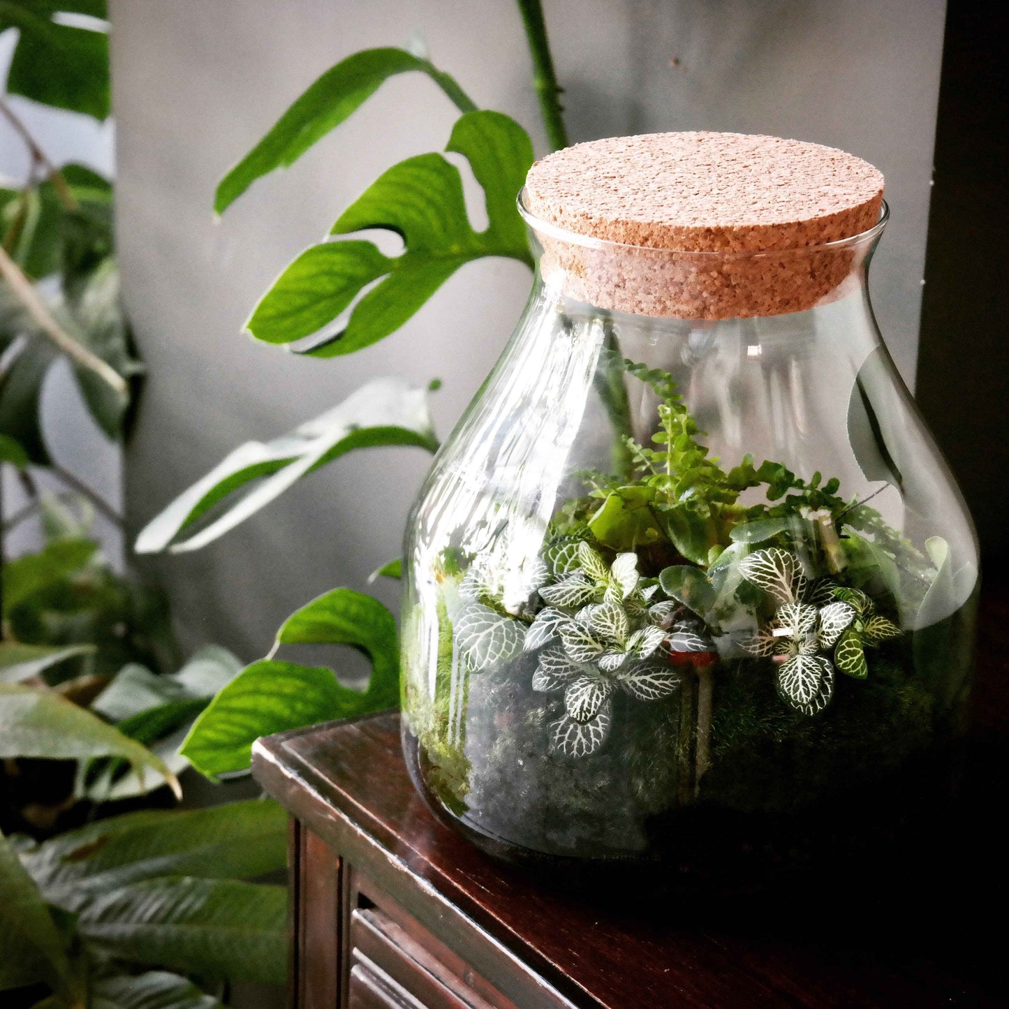 Workshop Mini Biosfeer (21 maart 2026)