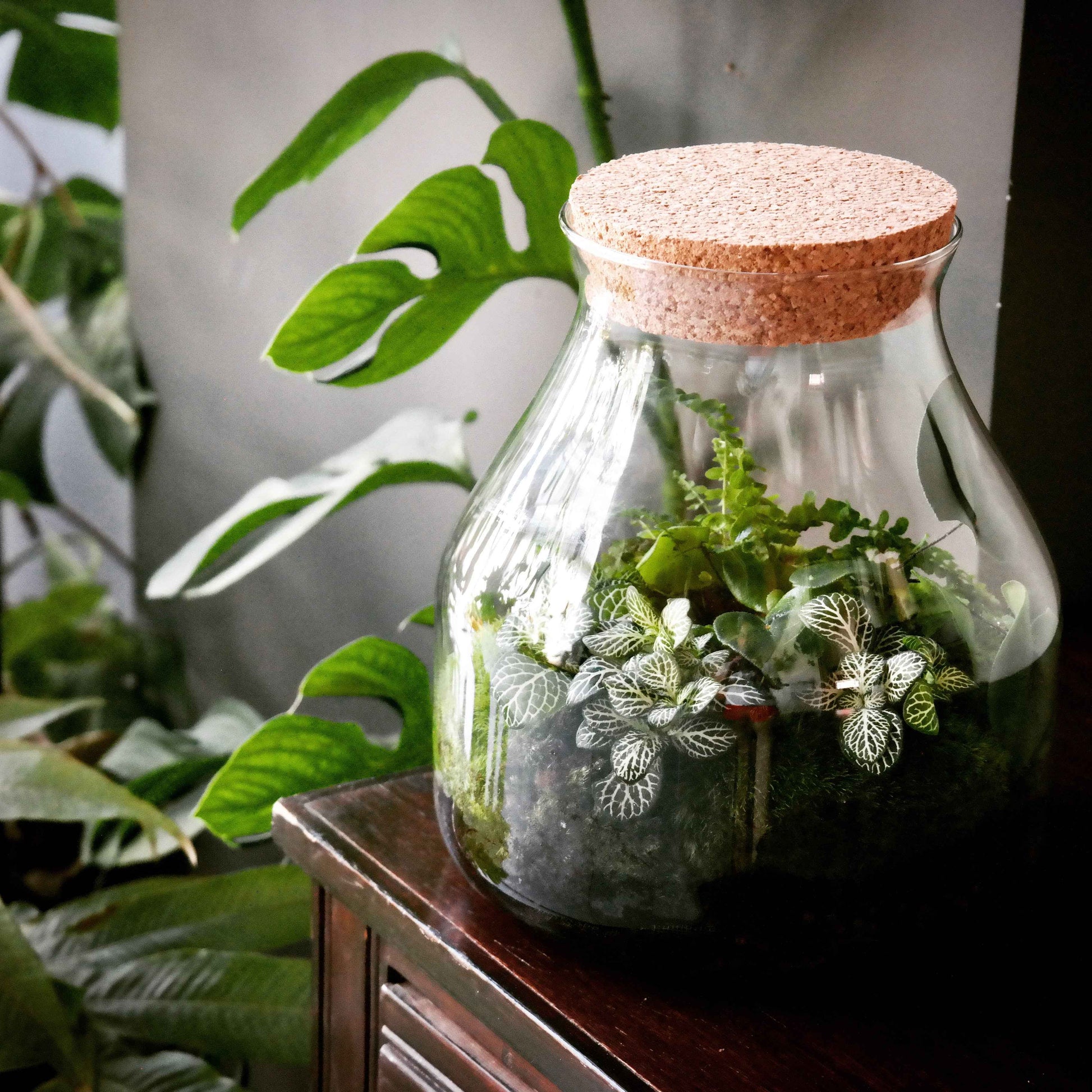 Workshop Mini Biosfeer (21 maart 2026)