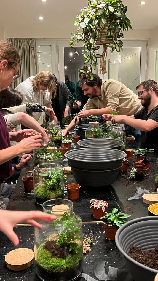 Workshop Mini Biosfeer (23 mei 2026)