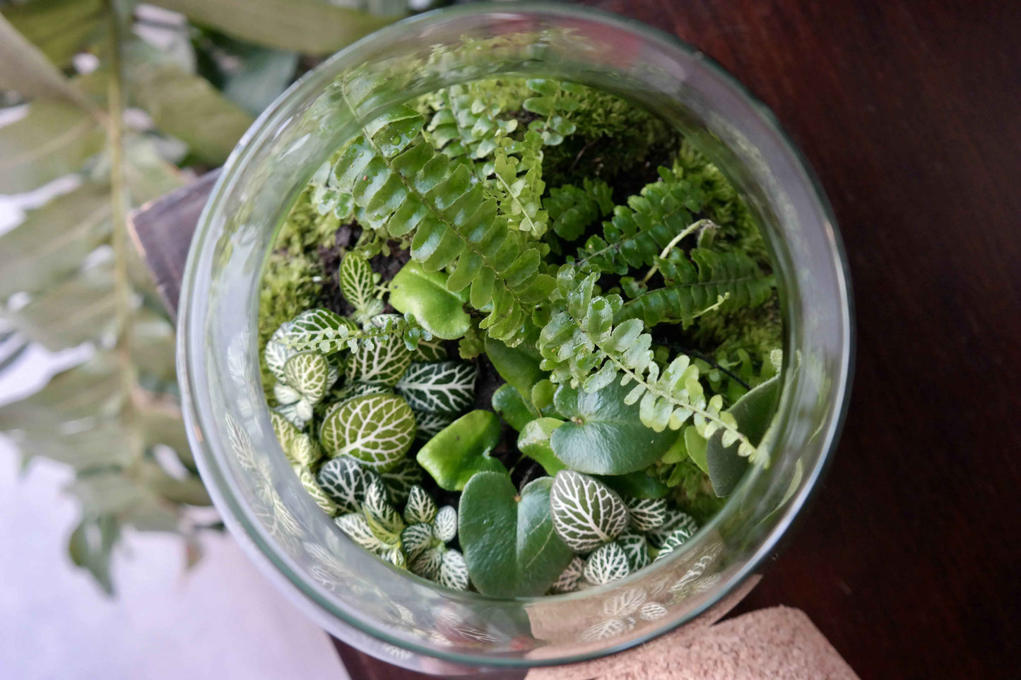 Workshop Mini Biosfeer (21 maart 2026)