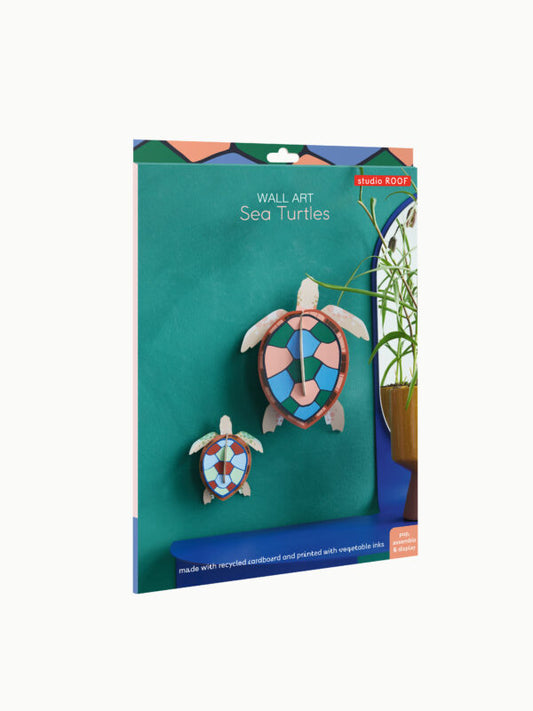 Zeeschildpadden - Spore Nursery