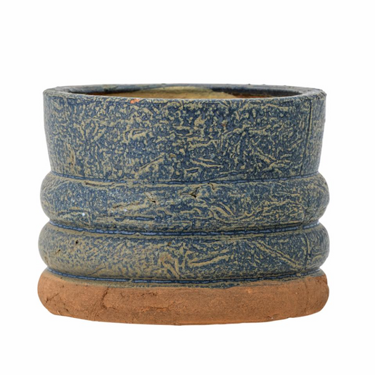 Maizun Ø 18cm - Spore Nursery