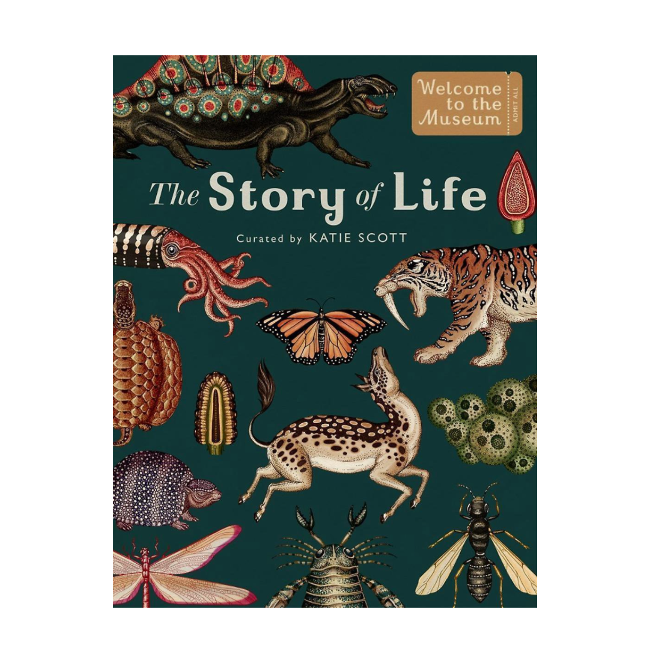 The story of life: evolution