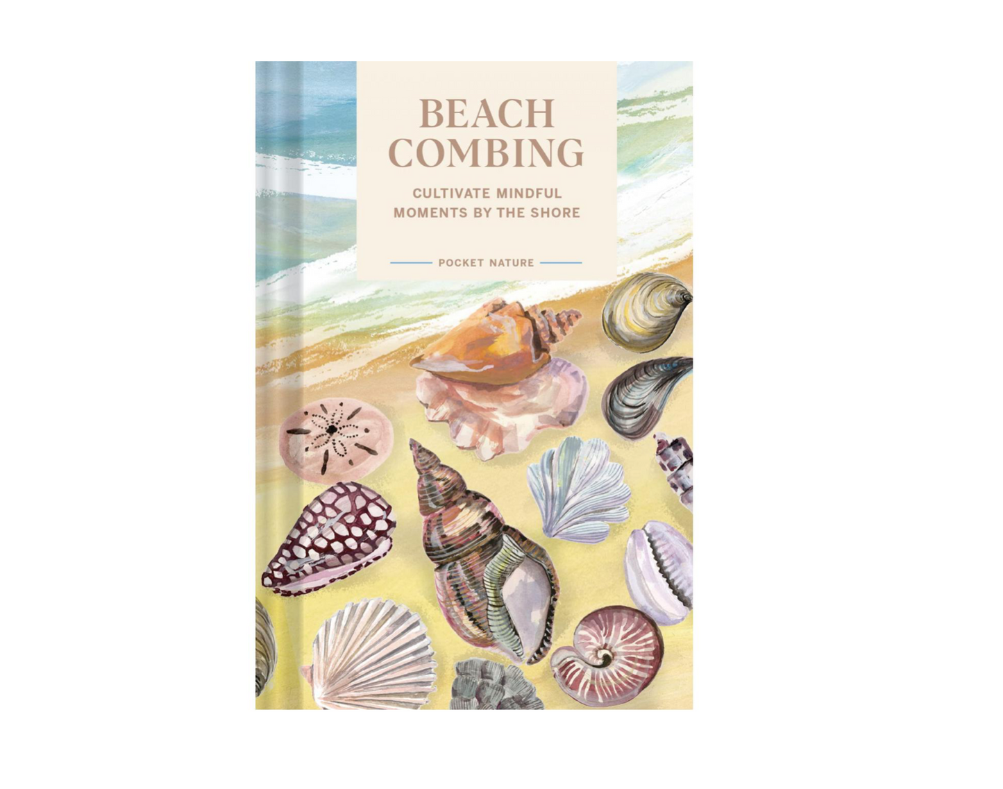 Pocket nature: Beach combing