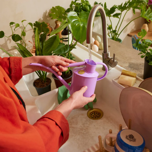 The Fazeley Flow - Misty Lilac - Spore Nursery