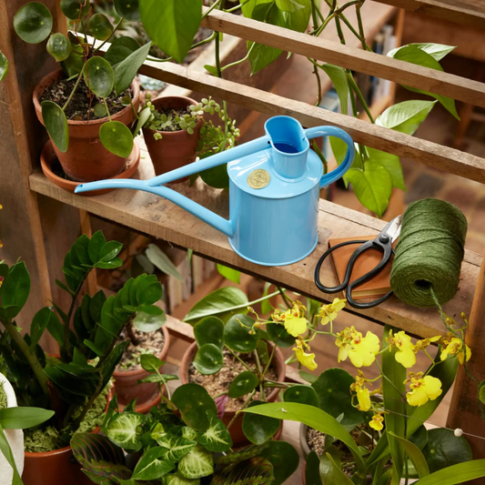 The Fazeley Flow - Summer Sky Blue - Spore Nursery