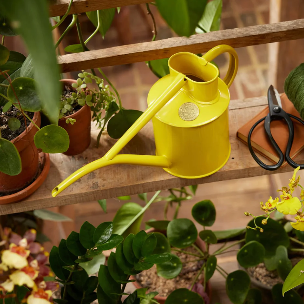 The Fazeley Flow - Lotus Yellow
