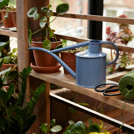 The Fazeley Flow - Bluebell Meadow - Spore Nursery