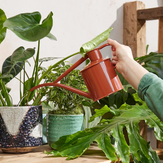 The Fazeley Flow - Terracotta Orange - Spore Nursery