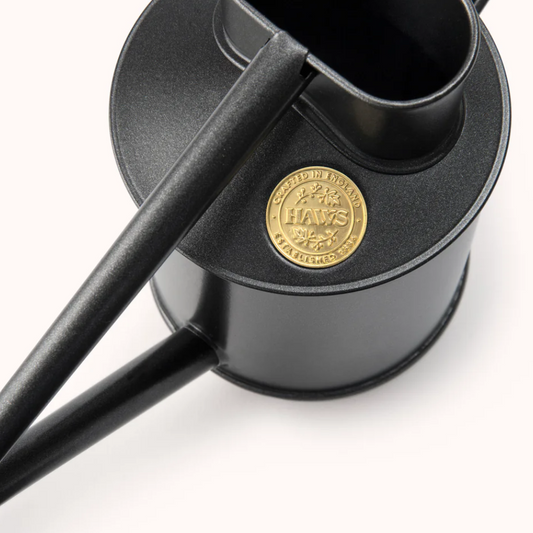 The Fazeley Flow - Graphite - Spore Nursery