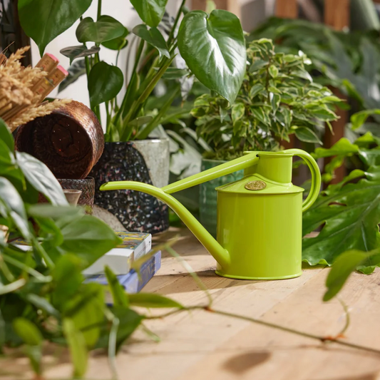 The Fazeley Flow - Apple Green - Spore Nursery