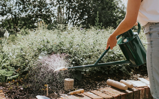 The Warley Fall - Green - Spore Nursery