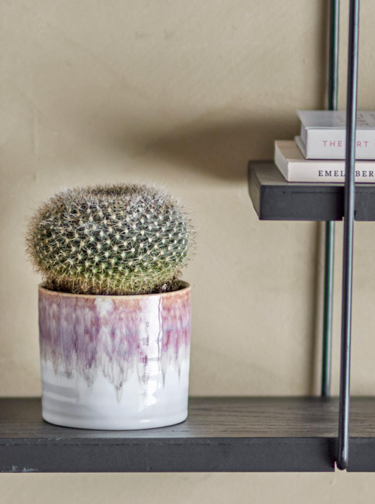 Aia Ø 9cm - Spore Nursery