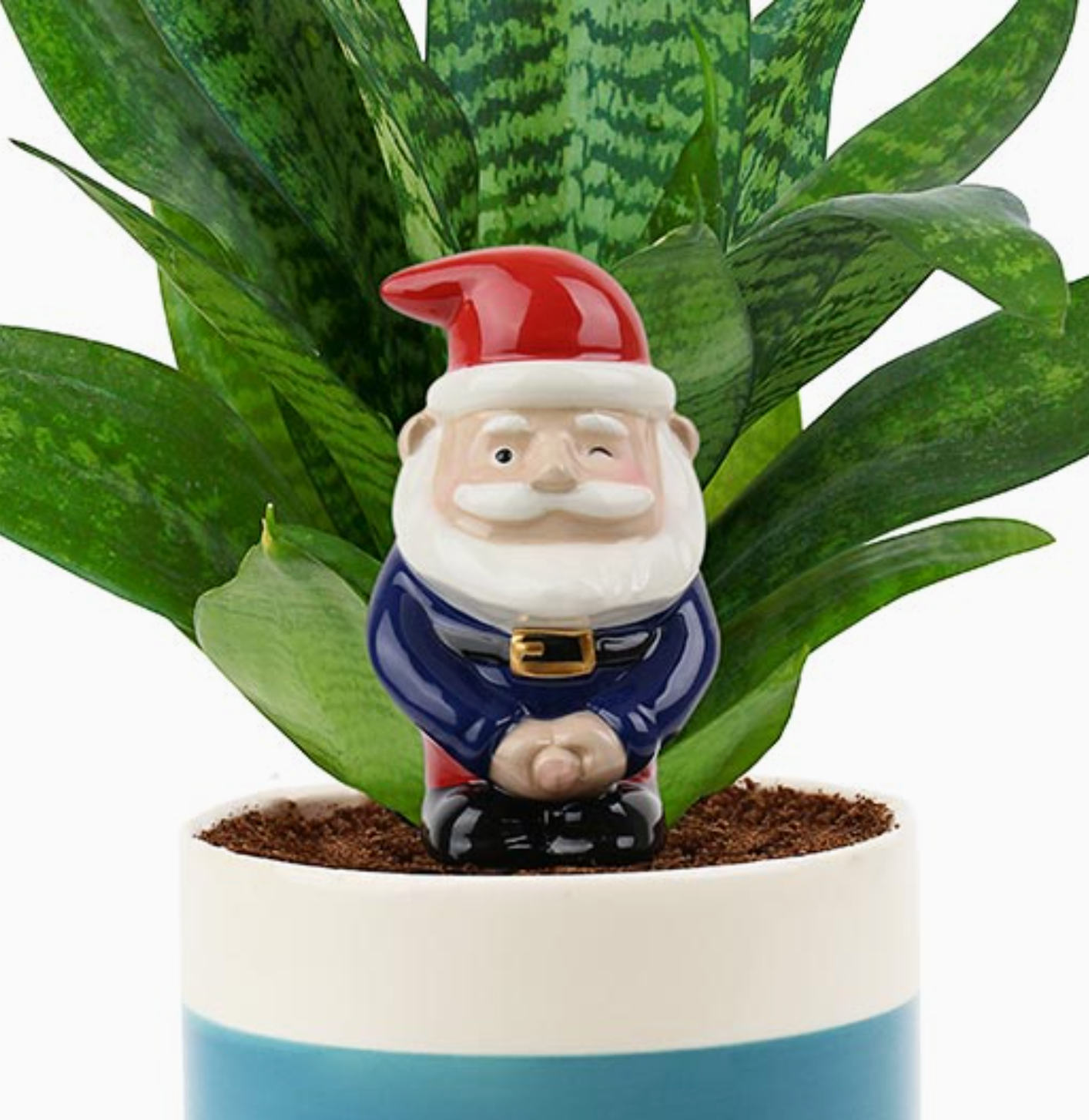 Peeing Gnome - Self-Watering Planter