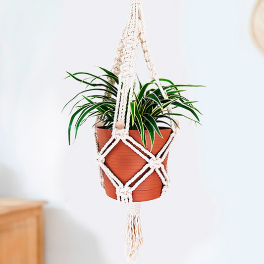 DIY Macrame Kit - Spore Nursery