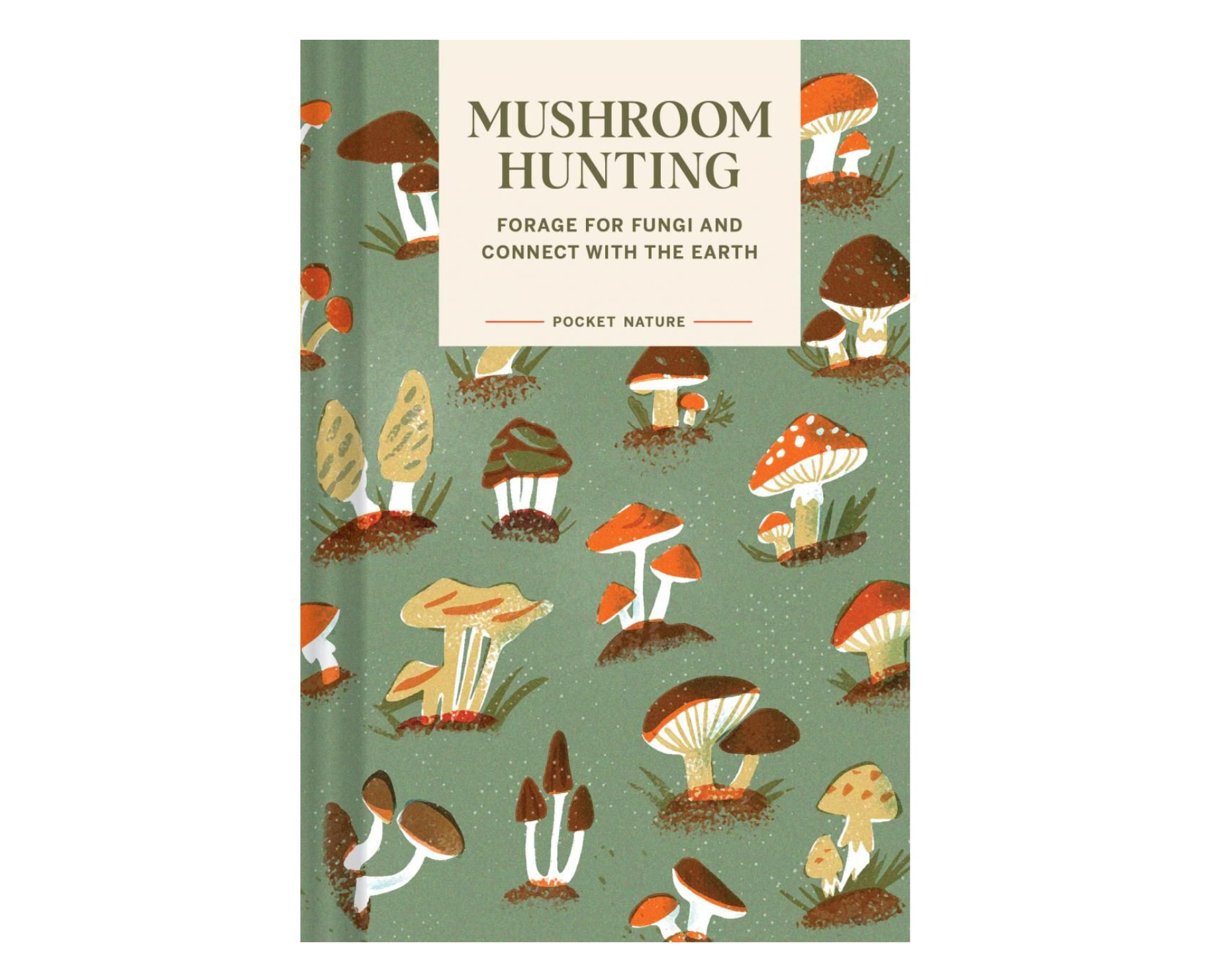 Pocket nature: Mushroom hunting - Spore Nursery