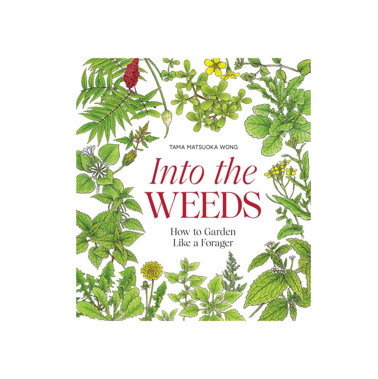 Into the Weeds - Spore Nursery