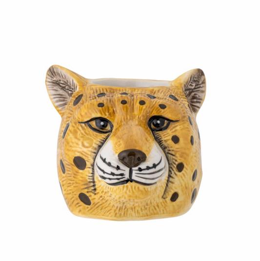 Luipaard hoofd - Spore Nursery