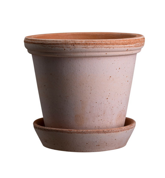 Flora - Spore Nursery