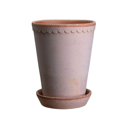 Helena hoog - Spore Nursery