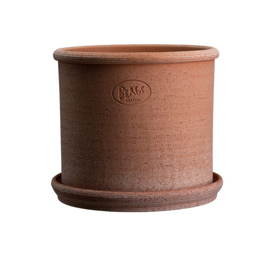 Modena - Spore Nursery