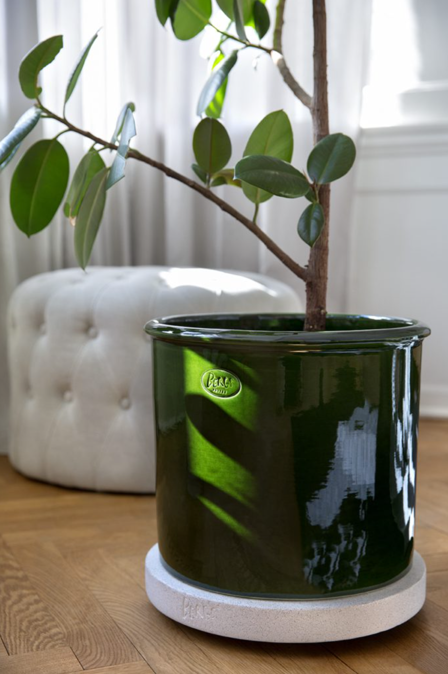 Modena (geglazuurd) - Spore Nursery