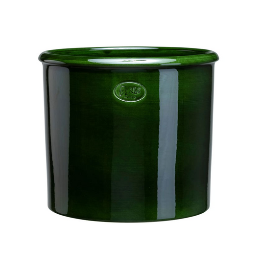 Modena (geglazuurd) - Spore Nursery