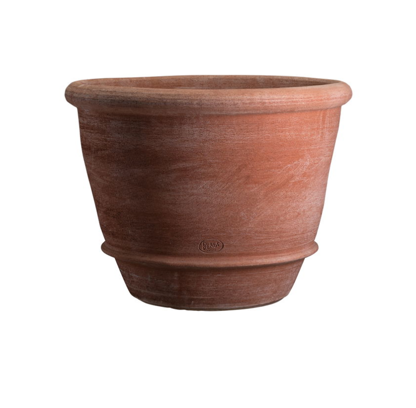 Campana (Large)