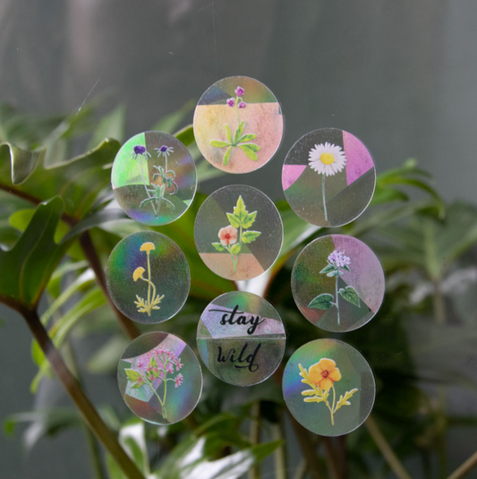 Regenboog sticker (8 mini wildflower stickers) - Spore Nursery