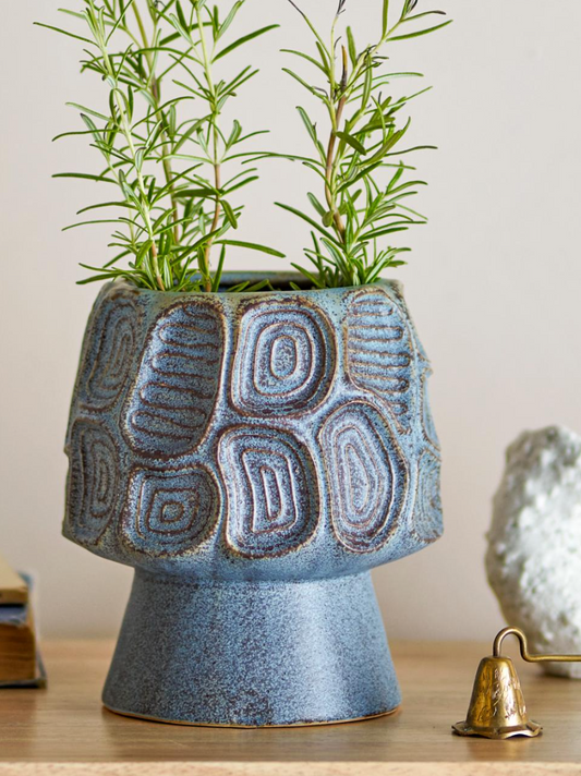 Clarke Ø 16cm - Spore Nursery