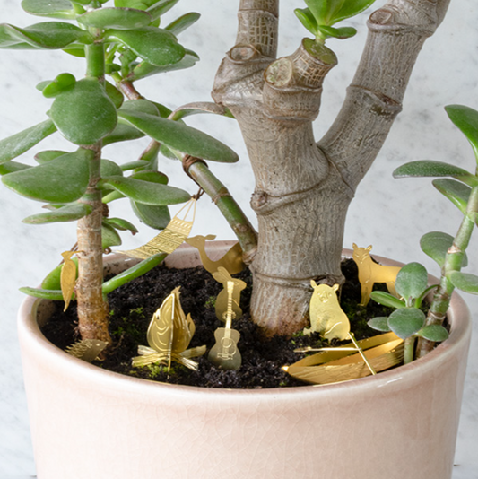 Tiny Camping - Spore Nursery