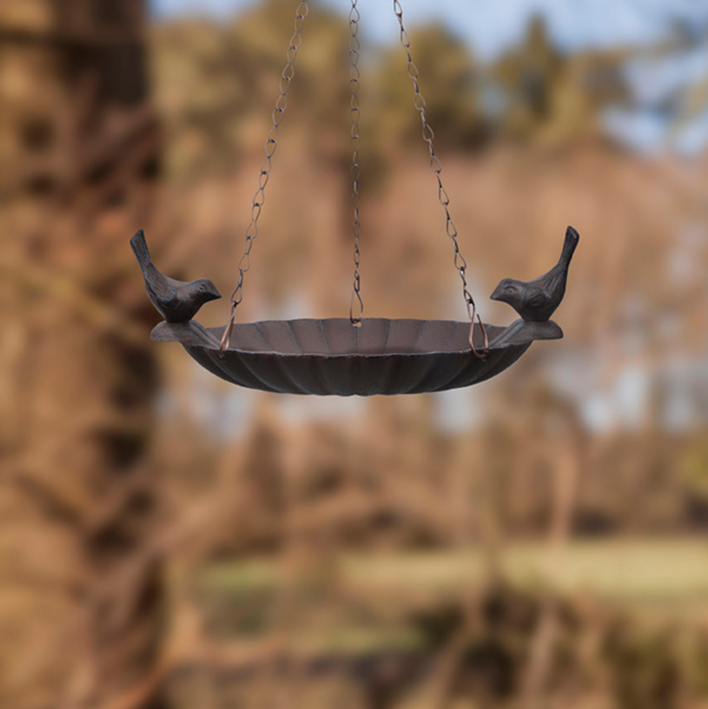 Vogelbad / voederschotel (hangend)