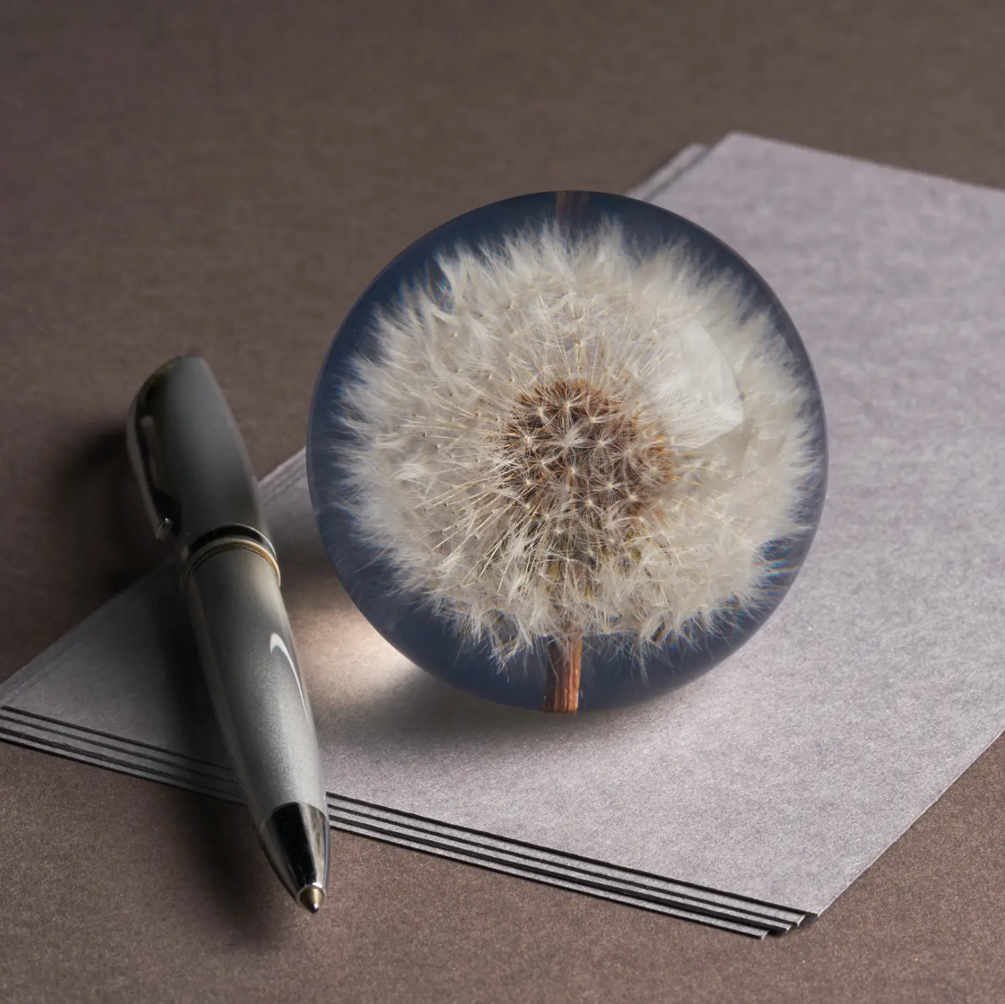 Presse papier: Taraxacum