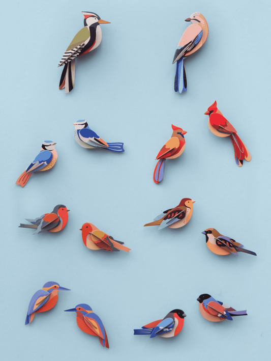 Roodborstjes - Spore Nursery