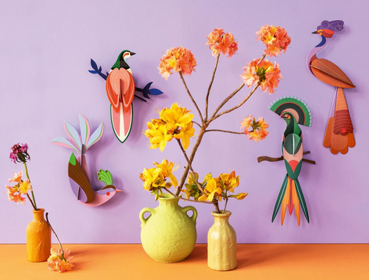 Rani - Spore Nursery