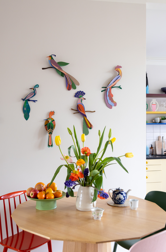 Nias - Spore Nursery