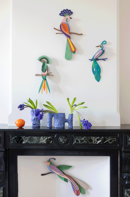 Fiji - Spore Nursery