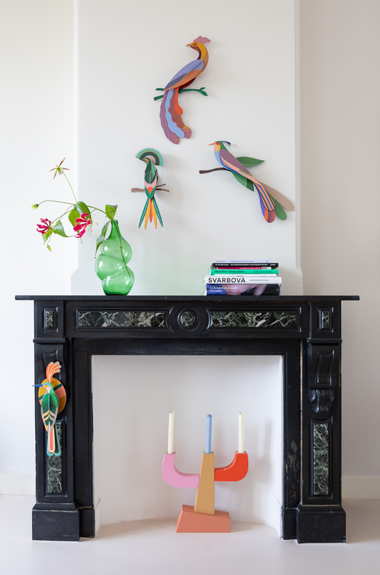 Gili - Spore Nursery