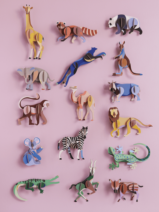 Gekko - Spore Nursery