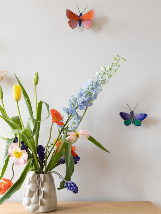 Gespikkelde koperen vlinder - Spore Nursery