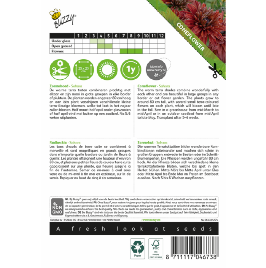 Zonnehoed, Rudbeckia 'Sahara'