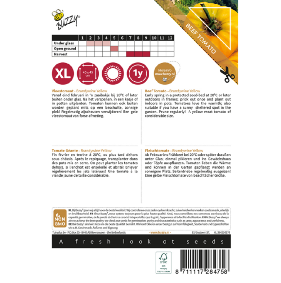 Vleestomaat, Pomodori 'Brandywine Yellow'