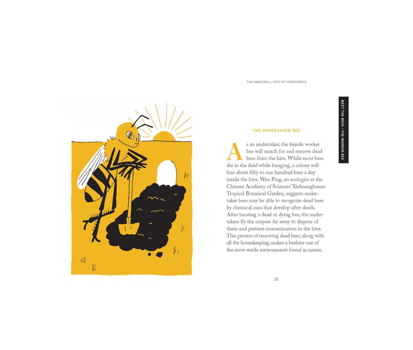 Pocket nature: Bee keeping