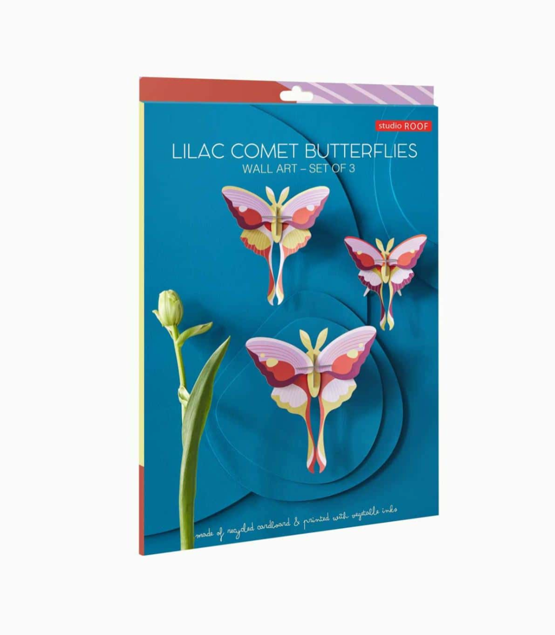 Lilac Comet Butterflies - Spore Nursery