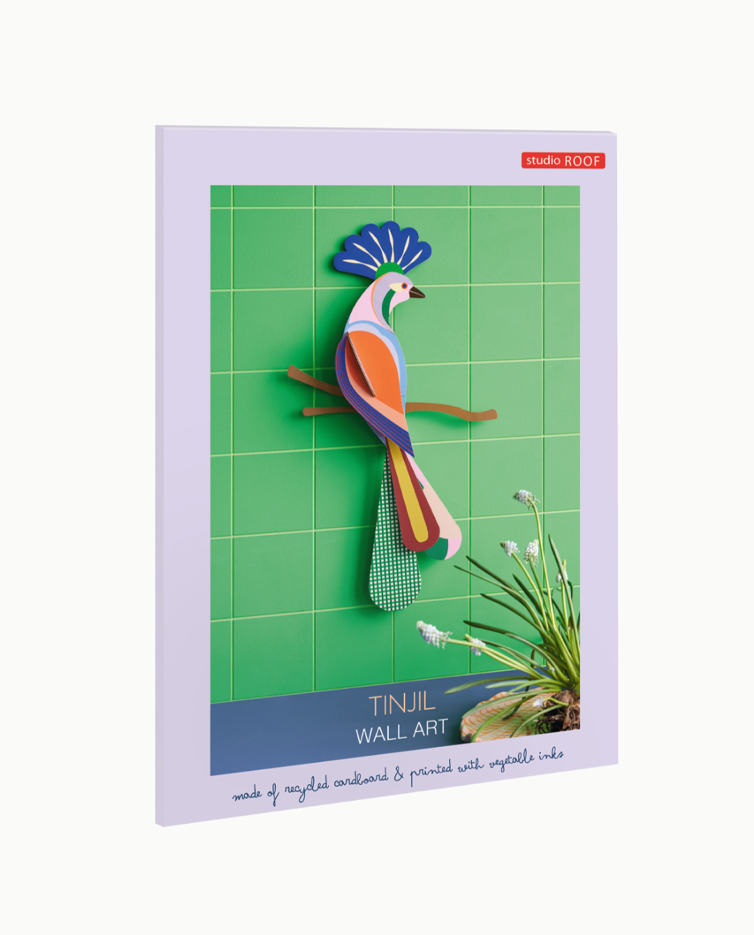 Tinjil - Spore Nursery