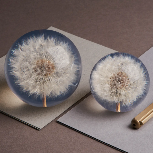 Presse papier: Taraxacum - Spore Nursery
