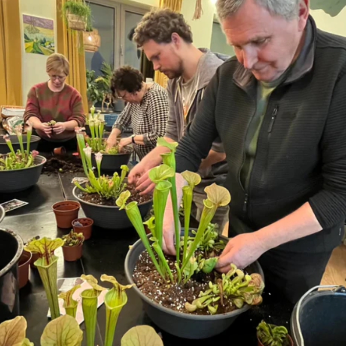 Workshop Vleesetende planten (zaterdag 25 april 2026)