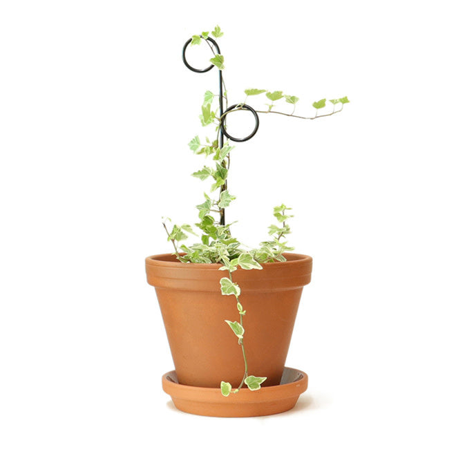 Mini plant stake zwart - Perch